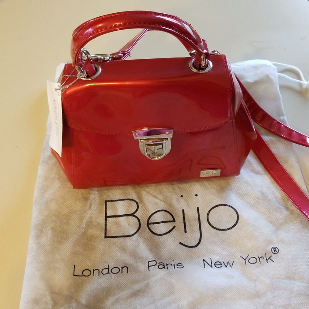 Beautiful Beijo purse